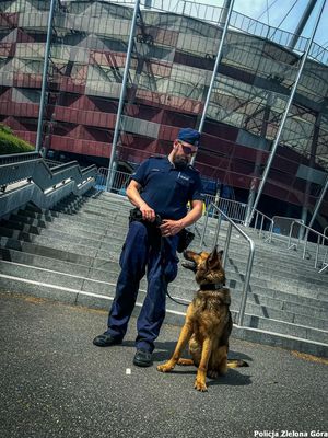 Przewodnik psa wraz z psem policyjnym przed Stadionem Narodowym w Warszawie.