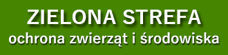 Zielona strefa