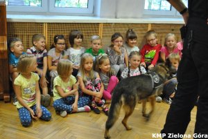 Policyjny pies szukający tropu w przedszkolu