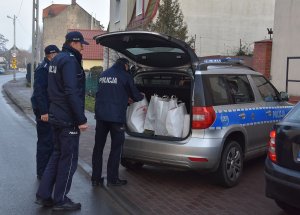 Trzech policjantów z radiowozem