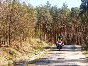 Policjant na motorze patrolujący las.