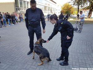 Przewodnik Psa Służbowego wraz ze swoim psem pokazuje umiejętności swojego podopiecznego