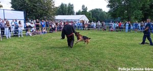 Pokaz dla dzieci, gdzie pies policyjny atakuje funkcjonariusza ubranego w gruby kombinezon ochronny.