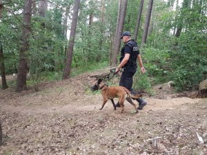 Policjant ze swoim psem służbowym w lesie