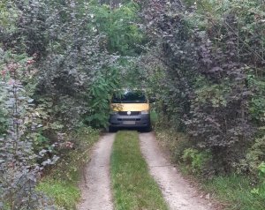 Skradziony bus na drodze wśród drzew