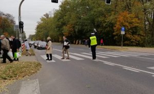 Policjant Ruchu Drogowego wstrzymuje ruch żeby piesi mogli przejść