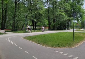 Dwójka policjantów jadąca na rowerach w terenie parku gęśnika.
