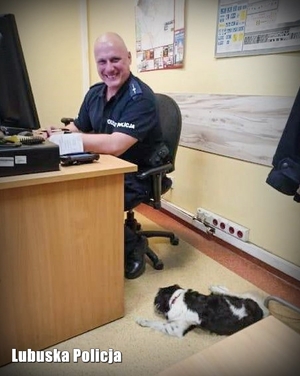 Policjant siedzi przy biurku a obok niego leży uratowany pies.