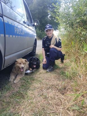 Policjantka z porzuconymi psami.