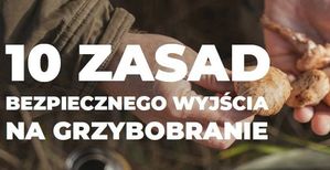 Dziesięć zasad bezpiecznego grzybobrania.