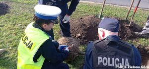 Policjanci sadzą sadzonki drzew.