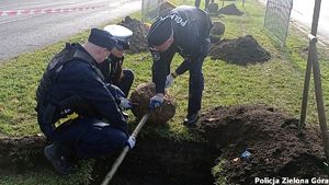 Policjanci wkopują sadzonkę drzewa.