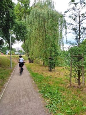 Policjantka pełniąca służbę na rowerze, przemieszcza się miejskimi ścieżkami rowerowymi.