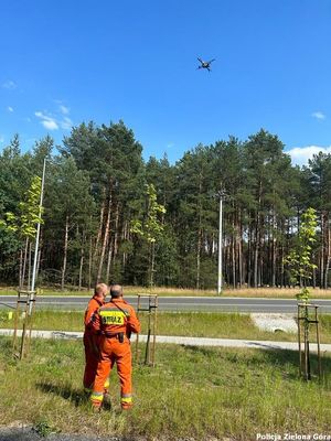 Strażacy w pomarańczowym mundurze z napisem STRAŻ sterują dronem.