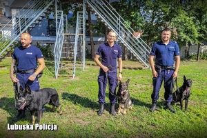 Trzech funkcjonariuszy policji z psami policyjnymi.