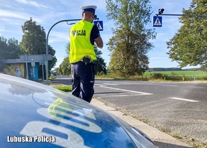 Policjant stojący przy drodze.