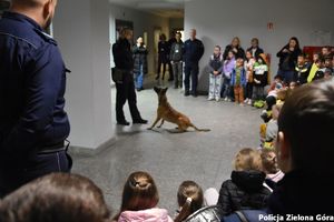 Pokaz umiejętności policyjnego psa