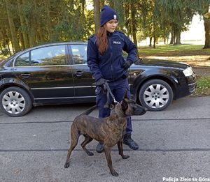 Policjantka z czworonożnym funkcjonariuszem stoją przy samochodzie