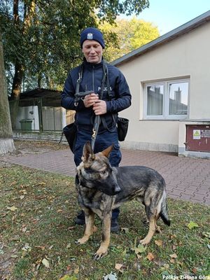 Policjant z czworonożnym funkcjonariuszem