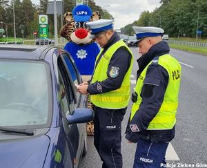 Maskotka Lubuskiej Policji tygrys Lupo wraz z policjantami Ruchu Drogowego kontroluje kierowcę samochodu