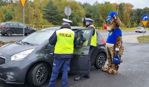 Maskotka Lubuskiej Policji tygrys Lupo wraz z policjantami Ruchu Drogowego kontroluje kierowcę samochodu