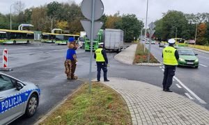 Maskotka Lubuskiej Policji tygrys Lupo wraz z policjantami Ruchu Drogowego kontroluje prędkość na ulicy Wrocławskiej