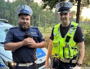 Policjanci wydziału ruchu drogowego. Jeden w kamizelce odblaskowej, drugi trzyma kota na rękach. W tyle znajduję się radiowóz.