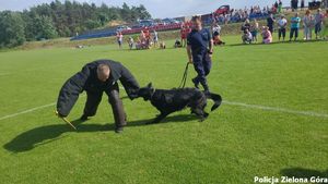 Policjant wraz z pozorantem przedstawiają umiejętności psa.