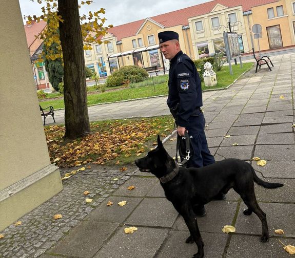 Psy służbowe: wierne, szybkie i zawsze gotowe do działania (i merdania)