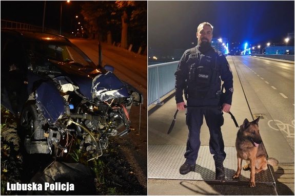 Policyjny pies wytropił pijanego kierowcę, który uciekł z miejsca zdarzenia