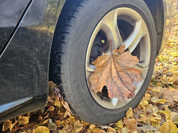 Jesień na drogach. Wypadki pokazują, jak łatwo o błąd
