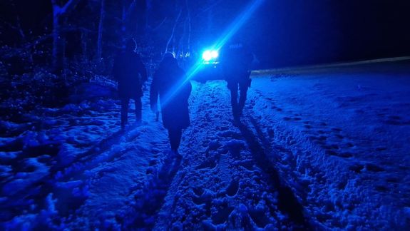 Szybka reakcja służb – zagubieni w lesie spacerowicze uratowani przed wychłodzeniem